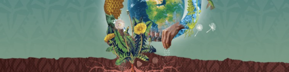 Group cover image