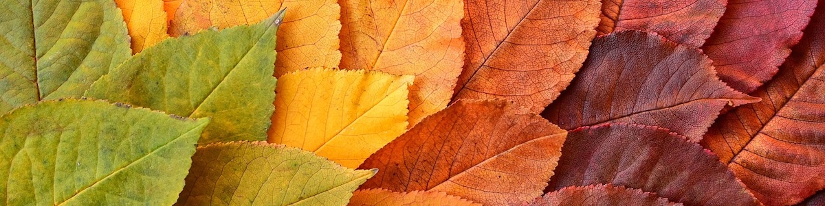 Group cover image