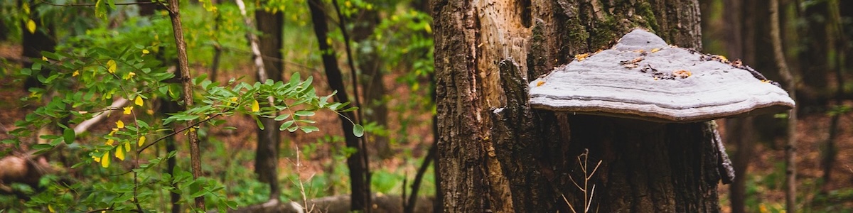Group cover image