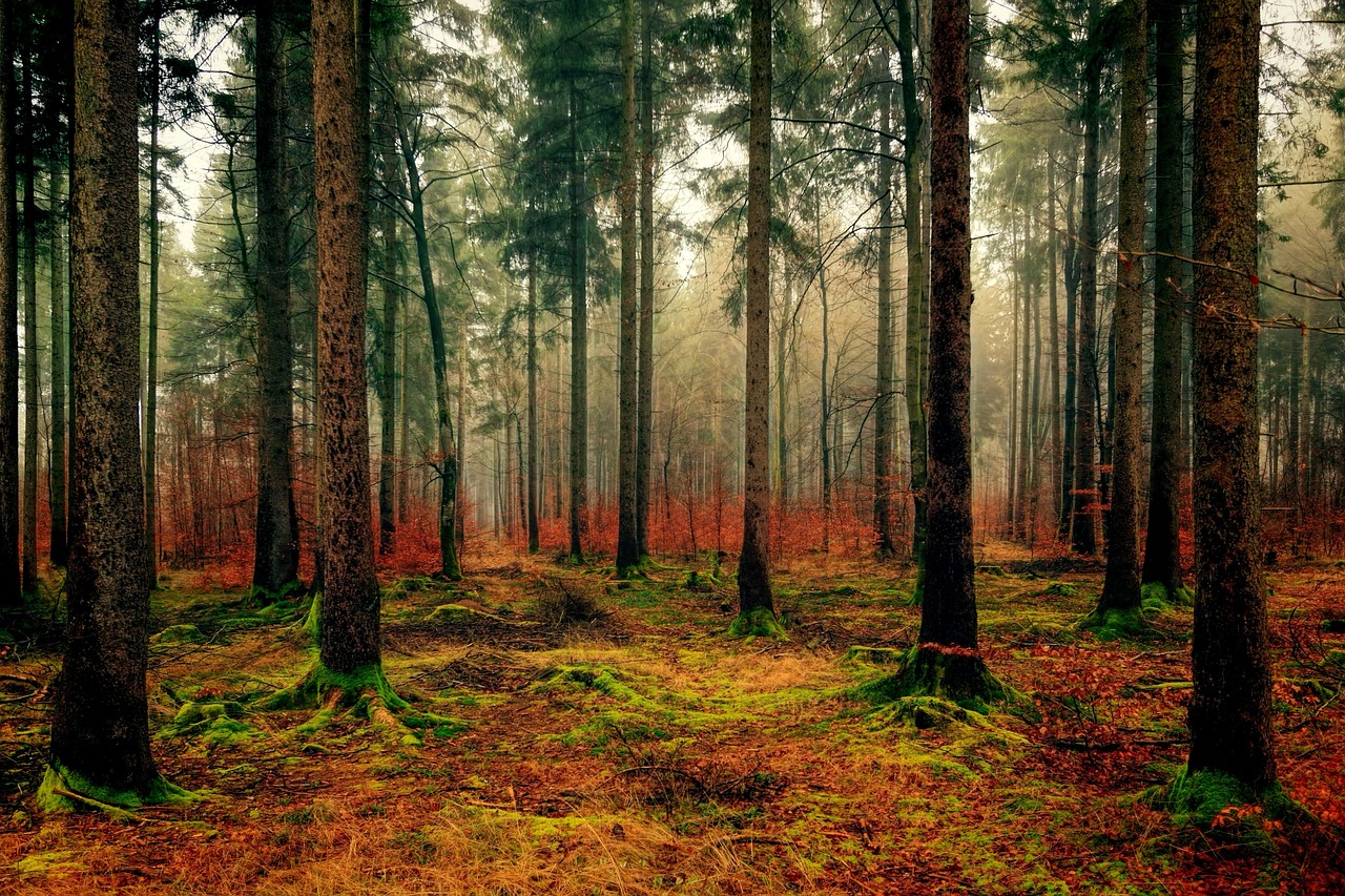 Group cover image