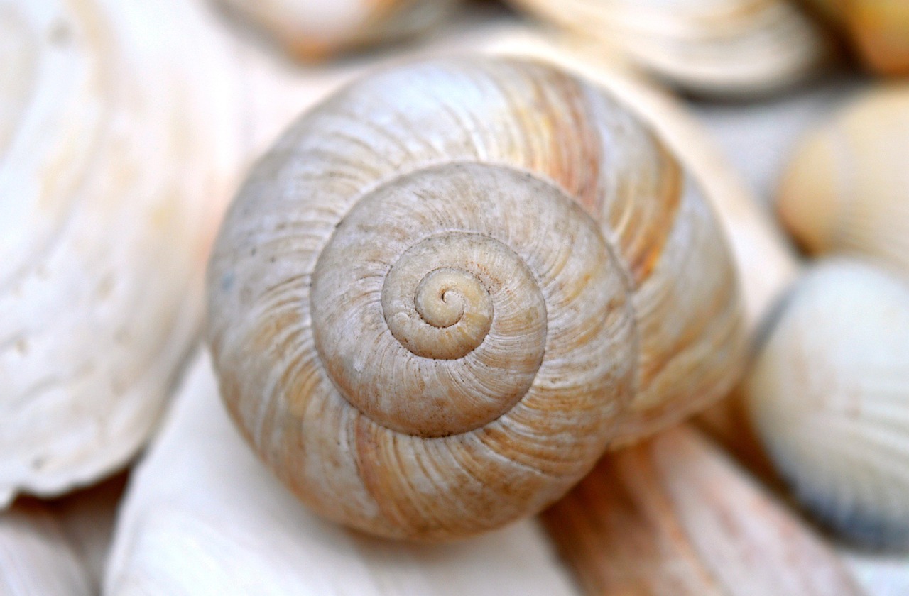 Group cover image